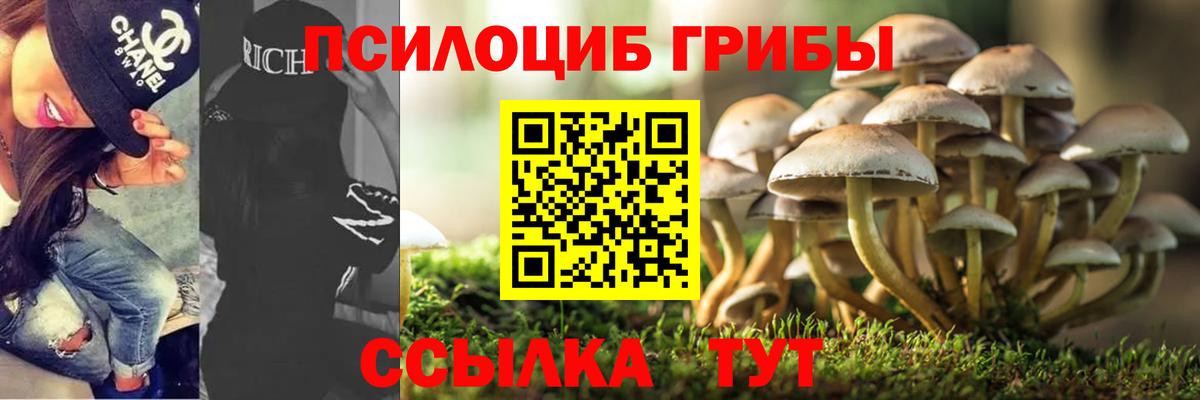 Галлюциногенные грибы Psilocybine cubensis  Галлюциногенные грибы ЛСД  Петропавловск-Камчатский  Вход с VPN 